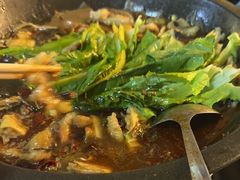 -都江堰石锅鱼