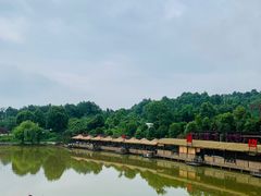 -铁山坪森林公园