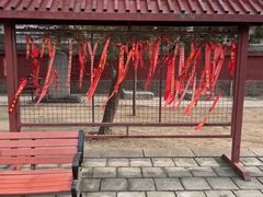 -天宁寺