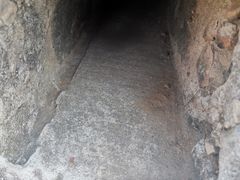 -莫子山公园
