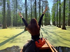 -渌洋湖湿地公园