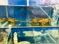 -老闽味姜母鸭·煎蟹闽菜餐厅(曾厝垵地标店)
