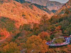-光雾山旅游景区