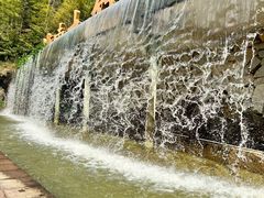 -宁波浙东大竹海景区