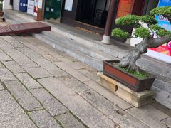 -东山雕花楼