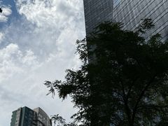 -弓二·烧鸟居酒屋(财富购物中心店)
