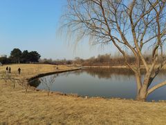 -塘沽森林公园