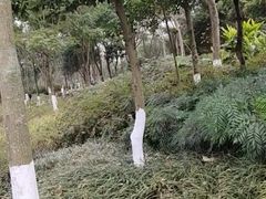 -眉山湿地公园(东坡区)