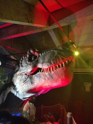 -恐龙探索乐园(磁器口店)