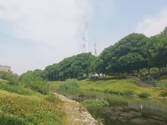 -两河城市森林公园