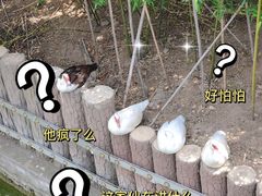 -泰山天颐湖旅游度假区