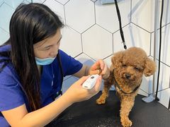 -萌兽医馆·眼科·异宠专科(三里屯店)