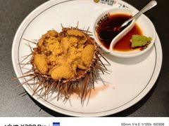 黄金胆-常鲜楼常来尝鲜海胆馆(星海店)