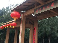 -北海金海湾红树林生态旅游区