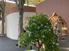-深圳湾万象城
