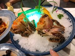 -渔娘渔家丹东海鲜(东直门店)