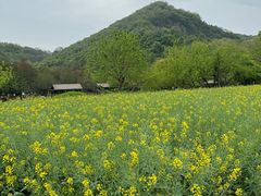 -八卦田遗址公园