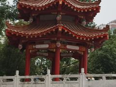 -宝岛公园