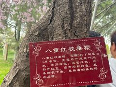 -西安青龙寺遗址景区