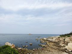 -养马岛旅游度假区
