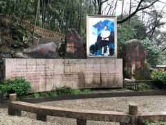 -黄山温泉国际旅游度假区