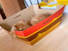 -麦当劳(曲阳店)