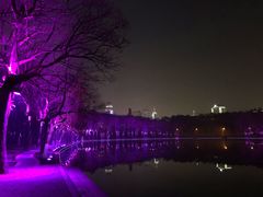 -东湖落雁景区