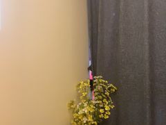 -清沐SPA生活馆(观前街店)