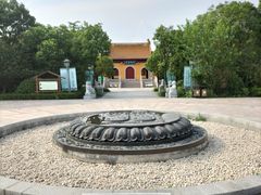 -溱湖国家湿地公园