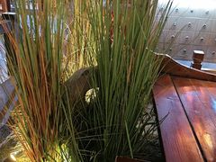 -解家河南菜(金水路店)