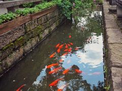-黎阳老街