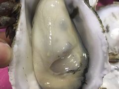 生蚝-蠔园山庄(礼乐食街店)