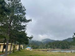 -海南热带雨林国家公园吊罗山景区