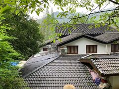 -嘉龙茶庄