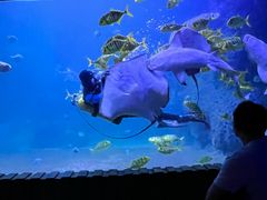 -左海海底世界