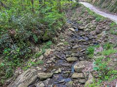 -素山寺森林公园