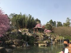 -秀丽东方