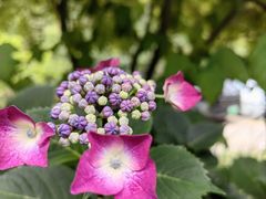 -秦岭终南山世界地质公园翠华山景区