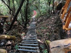 -牛鱼嘴原始生态风景区