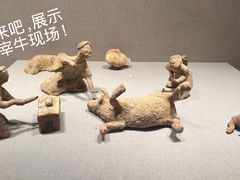 -徐州博物馆