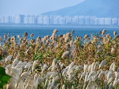 -东山风景区(洞庭东山)