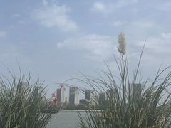 -活水公园