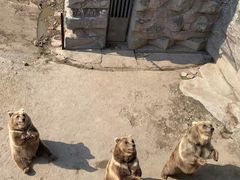 -哈尔滨北方森林动物园