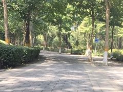 -东升八家郊野公园