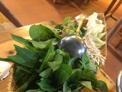 -Draft Beer Restaurant & Bar