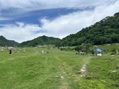 -狮子沟牧场