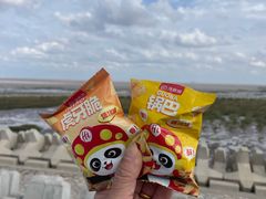 -南汇嘴观海公园