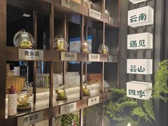 -芸山季·云南山珍菌火锅(人民广场来福士店)