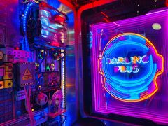 -Darling Queen·Mini·Live·House