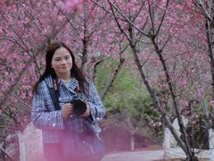 -常德桃花源景区